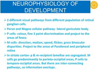 NEUROPHYSIOLOGY OF
DEVELOPMENT
2 different visual pathways from different population of retinal
ganglion cells.
Parvo and Magno cellular pathway- lateral geniculate body.
P cells- colour, fine 2 point discrimination and project to the
areas of fovea
M cells- direction, motion, speed, flicker, gross binocular
disparities. Project to the areas of Parafoveal and peripheral
retina
In striate cortex- p & m-recipient lamellae are segregated. M
cells go predominantly to parieto-occipital areas, P cells to
temporo-occipital areas. But there are inter-connecting
pathways, so information overlaps.
 