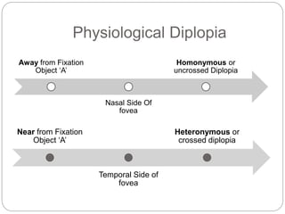 Binocular vision | PPTX