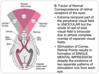 Binocular vision | PPTX