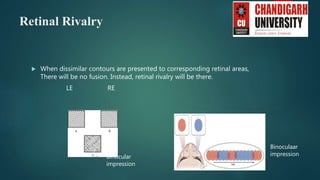 Binocular Vision.pptx