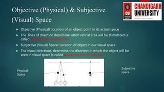 Binocular Vision.pptx