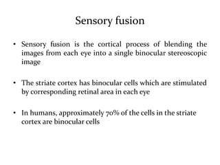 Sensory fusion
• Sensory fusion is the cortical process of blending the
images from each eye into a single binocular stereoscopic
image
• The striate cortex has binocular cells which are stimulated
by corresponding retinal area in each eye
• In humans, approximately 70% of the cells in the striate
cortex are binocular cells
 