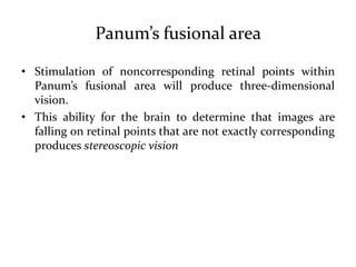 Panum’s fusional area
• Stimulation of noncorresponding retinal points within
Panum’s fusional area will produce three-dimensional
vision.
• This ability for the brain to determine that images are
falling on retinal points that are not exactly corresponding
produces stereoscopic vision
 