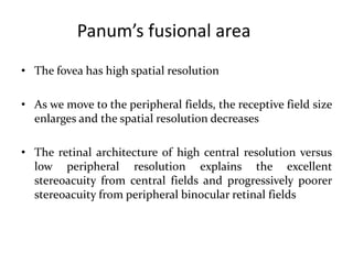 • The fovea has high spatial resolution
• As we move to the peripheral fields, the receptive field size
enlarges and the spatial resolution decreases
• The retinal architecture of high central resolution versus
low peripheral resolution explains the excellent
stereoacuity from central fields and progressively poorer
stereoacuity from peripheral binocular retinal fields
Panum’s fusional area
 