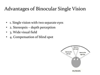Advantages of Binocular Single Vision
• 1. Single vision with two separate eyes
• 2. Stereopsis – depth perception
• 3. Wide visual field
• 4. Compensation of blind spot
 