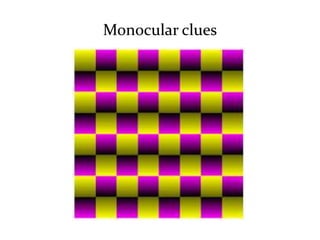 Monocular clues
 