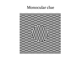 Monocular clue
 