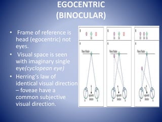 Binocular vision final | PPTX