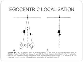 EGOCENTRIC LOCALISATION
 