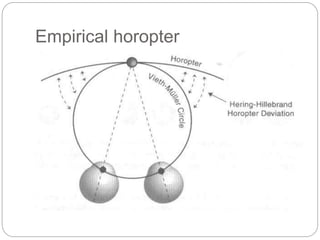 Empirical horopter
 