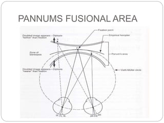 PANNUMS FUSIONAL AREA
 