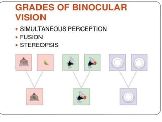 Binocular vision ppt