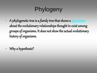 Binomial Classification of Animals and Taxonomy | PPT