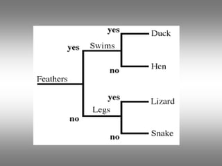 Binomial Classification of Animals and Taxonomy | PPT