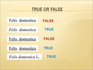 Felis domestica
Felis domestica
Felis domestica
Felis domestica
Felis domestica L.
TRUE
FALSE
TRUE
FALSE
TRUE