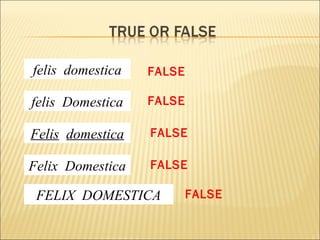 felis domestica
felis Domestica
Felis domestica
Felix Domestica
FELIX DOMESTICA
FALSE
FALSE
FALSE
FALSE
FALSE