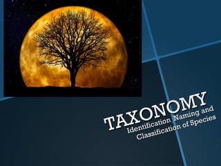 TAXONOMY
TAXONOMY
Identification
Identification,, Naming and
Naming and
Classification of Species
Classification of Species
 