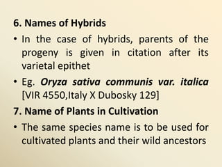6. Names of Hybrids
• In the case of hybrids, parents of the
progeny is given in citation after its
varietal epithet
• Eg. Oryza sativa communis var. italica
[VIR 4550,Italy X Dubosky 129]
7. Name of Plants in Cultivation
• The same species name is to be used for
cultivated plants and their wild ancestors
 