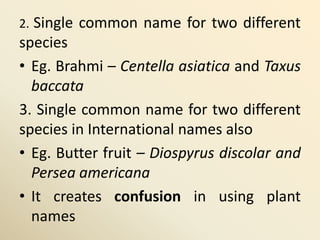 2. Single common name for two different
species
• Eg. Brahmi – Centella asiatica and Taxus
baccata
3. Single common name for two different
species in International names also
• Eg. Butter fruit – Diospyrus discolar and
Persea americana
• It creates confusion in using plant
names
 