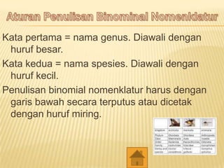 Kata pertama = nama genus. Diawali dengan
huruf besar.
Kata kedua = nama spesies. Diawali dengan
huruf kecil.
Penulisan binomial nomenklatur harus dengan
garis bawah secara terputus atau dicetak
dengan huruf miring.
 