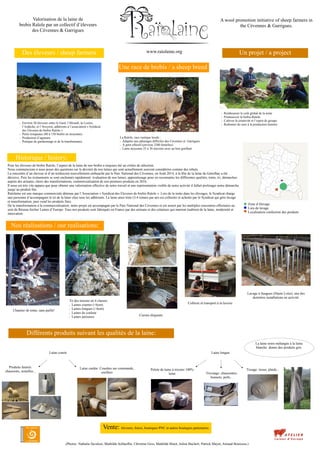 Valorisation de la laine de
brebis Raïole par un collectif d’éleveurs
des Cévennes & Garrigues
Des éleveurs / sheep farmers
Une race de brebis / a sheep breed
Un projet / a project
 Environ 30 éleveurs entre le Gard, l’Hérault, la Lozère,
l’Ardèche, et l’Aveyron, adhérents à l’association « Syndicat
des Eleveurs de brebis Raïole »
 Petits troupeaux (80 à 150 brebis en moyenne)
 Production d’agneaux
 Pratique du gardiennage et de la transhumance
La Raïole, race rustique locale :
 Adaptée aux pâturages difficiles des Cévennes et Garrigues
 À petit effectif (environ 3200 femelles)
 Laine moyenne 25 à 30 microns avec un bon gonflant
 Rembourser le coût global de la tonte
 Promouvoir la brebis Raïole
 Cultiver la créativité et l’esprit de groupe
 Redonner du sens à la production lainière
www.raiolaine.org
A wool promotion initiative of sheep farmers in
the Cévennes & Garrigues.
Pour les éleveurs de brebis Raïole, l’aspect de la laine de nos brebis a toujours été un critère de sélection.
Nous commencions à nous poser des questions sur le devenir de nos laines qui sont actuellement souvent considérées comme des rebuts.
La rencontre d’un éleveur et d’un technicien nouvellement embauché par le Parc National des Cévennes, en Août 2014, à la fête de la laine de Génolhac a été
décisive. Puis les évènements se sont enchainés rapidement: évaluation de nos laines, apprentissage pour en reconnaitre les différentes qualités, tonte, tri, démarches
auprès des artisans, choix des transformations, commercialisation de nos premiers produits en 2016.
Il nous est très vite apparu que pour obtenir une valorisation effective de notre travail et une représentation visible de notre activité il fallait prolonger notre démarche
jusqu’au produit fini.
Raïolaine est une marque commerciale détenue par l’Association « Syndicat des Eleveurs de brebis Raïole ». Lors de la tonte dans les élevages, le Syndicat charge
une personne d’accompagner le tri de la laine chez tous les adhérents. La laine ainsi triée (3-4 tonnes par an) est collectée et achetée par le Syndicat qui gère lavage
et transformation, puis vend les produits finis.
De la transformation à la commercialisation, notre projet est accompagné par le Parc National des Cévennes et est nourri par les multiples rencontres effectuées au
sein du Réseau Atelier Laines d’Europe. Tous nos produits sont fabriqués en France par des artisans et des créateurs qui marient tradition de la laine, modernité et
innovation.
Historique / history:
Nos réalisations / our realisations:
Chantier de tonte, sans paille!
Tri des toisons en 4 classes:
 Laines courtes (<6cm)
 Laines longues (>6cm)
 Laines de couleur
 Laines jarreuses Curons étiquetés
Collecte et transport à la laverie
Lavage à Saugues (Haute Loire), une des
dernières installations en activité.
Différents produits suivant les qualités de la laine:
Laine courte
Produits feutrés:
chaussons, semelles...
Laine cardée: Couettes sur commande,
oreillers
Laine longue
Pelote de laine à tricoter 100%
laine
Tissage: tissus, plaids...
Tricotage: chaussettes,
bonnets, pulls...
La laine noire mélangée à la laine
blanche donne des produits gris.
Vente: éleveurs, foires, boutiques PNC et autres boutiques partenaires
(Photos: Nathalie Savalois, Mathilde Schlaeflin, Christine Gros, Mathilde Binot, Julien Buchert, Patrick Mayet, Arnaud Bouissou.)
Zone d’élevage
Lieu de lavage
Localisation confection des produits
 