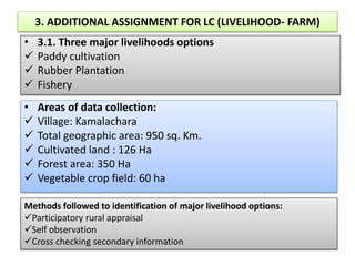 3. ADDITIONAL ASSIGNMENT FOR LC (LIVELIHOOD- FARM)
• 3.1. Three major livelihoods options
 Paddy cultivation
 Rubber Plantation
 Fishery
• Areas of data collection:
 Village: Kamalachara
 Total geographic area: 950 sq. Km.
 Cultivated land : 126 Ha
 Forest area: 350 Ha
 Vegetable crop field: 60 ha
Methods followed to identification of major livelihood options:
Participatory rural appraisal
Self observation
Cross checking secondary information
 