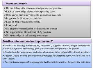 Major bottle neck
Do not follows the recommended package of practices
Lack of knowledge of pesticides spraying doses
Only grows previous year seeds as planting materials
Irrigation facilities are unavailable
Lack of proper road connectivity
Less yield
No proper communication with extension worker
No support from Department of Agriculture
No knowledge of soil testing mechanism
Possible Intervention for Improvement
Understand existing infrastructure, resources , support services, major occupations,
production systems, technology, policy environment and potential for growth
Conduct market assessment and value chain analysis for potential livelihood activities
Suggest viable income enhancement strategies for potential farm, off-farm and non-
farm sectors
 Suggest business plans for appropriate livelihood interventions for potential activities
 