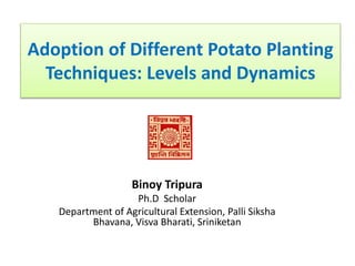 Adoption of Different Potato Planting
Techniques: Levels and Dynamics
Binoy Tripura
Ph.D Scholar
Department of Agricultural Extension, Palli Siksha
Bhavana, Visva Bharati, Sriniketan
 