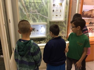 BRINQUEDOTECA NA UNIVATES!!!