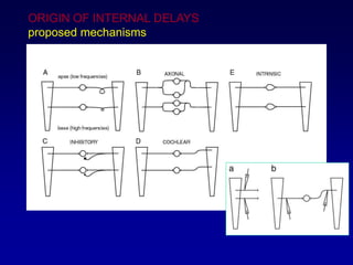 ORIGIN OF INTERNAL DELAYS
proposed mechanisms
 
