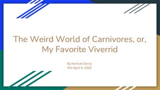 The Weird World of Carnivores, or,
My Favorite Viverrid
By Hannah Darcy
PUI April 4, 2020
 