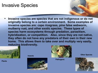 Biodiversity | PPT