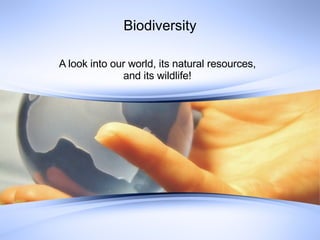 Biodiversity A look into our world, its natural resources, and its wildlife! 