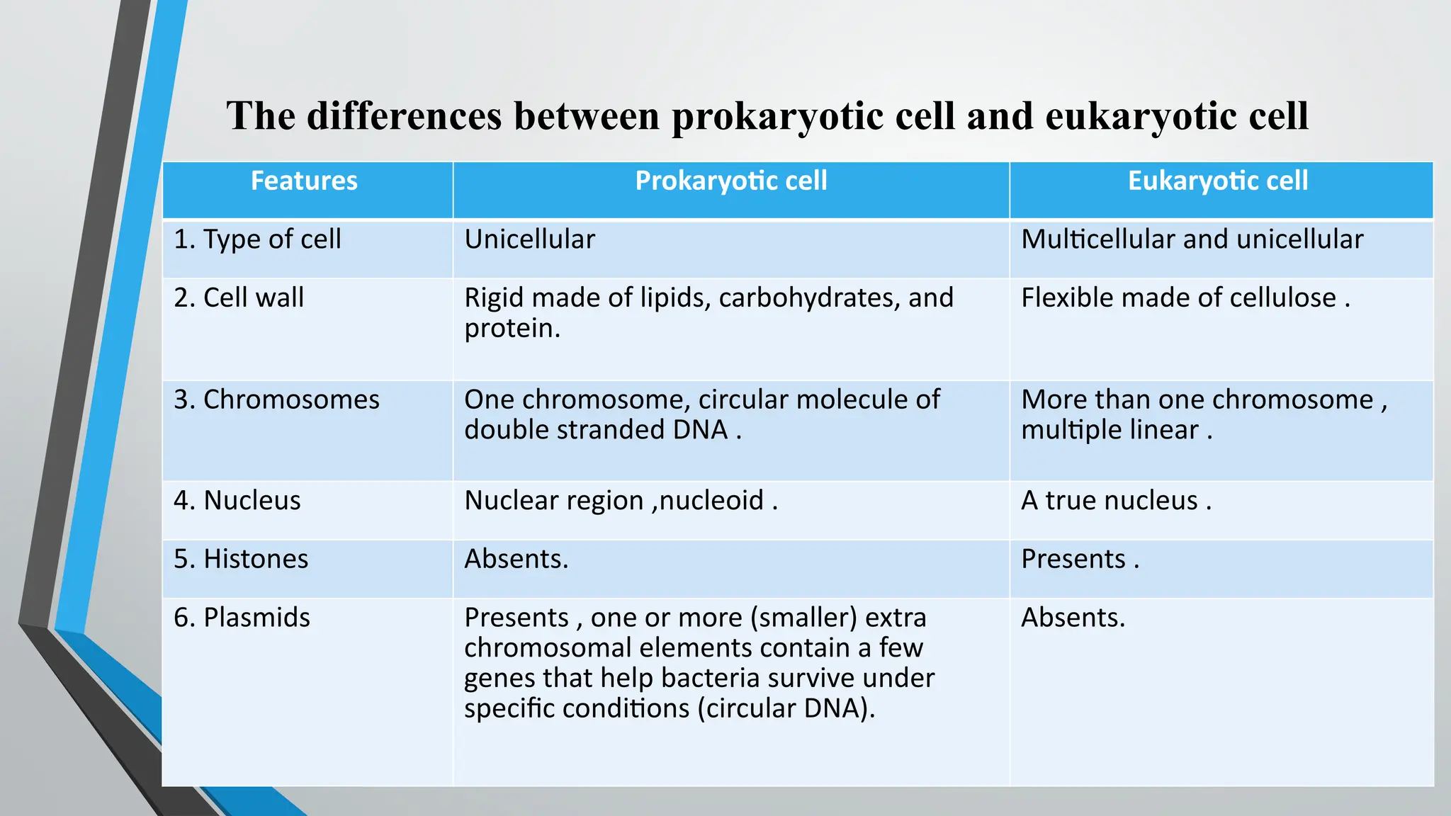 Eukaryotic Cells and Prokaryotic Cells - STEM | PPTX