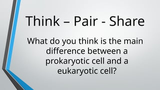 Eukaryotic Cells and Prokaryotic Cells - STEM | PPTX