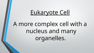 Eukaryotic Cells and Prokaryotic Cells - STEM | PPTX