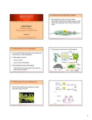 BIOLOGY
                                                                                                                   AN OVERVIEW OF PHOTOSYNTHESIS

                                             CONCEPTS & CONNECTIONS
                                                  Fourth Edition                                                   • Photosynthesis is the process by which
                                                                                                                     autotrophic organisms use light energy to make
   Neil A. Campbell • Jane B. Reece • Lawrence G. Mitchell • Martha R. Taylor
                                                                                                                     sugar and oxygen gas from carbon dioxide and
                                                                                                                     water
                               CHAPTER 7
                              Photosynthesis:
                         Using Light to Make Food
                                                                                                                                              Carbon             Water                             Glucose          Oxygen
                                                               Lecture 5                                                                      dioxide
                                                                                                                                                                              PHOTOSYNTHESIS
                                                                                                                                                                                                                     gas



                              From PowerPoint® Lectures for Biology: Concepts & Connections
                                        Copyright © 2003 Pearson Education, Inc. publishing as Benjamin Cummings
                                                                                                                   Copyright © 2003 Pearson Education, Inc. publishing as Benjamin Cummings




7.2 Photosynthesis occurs in chloroplasts                                                                           • The location and structure of chloroplasts
                                                                                                                                                                                                   Chloroplast

• In most plants, photosynthesis occurs primarily                                                                                                                         LEAF CROSS SECTION                       MESOPHYLL CELL

  in the leaves, in the chloroplasts                                                                                                                    LEAF


                                                                                                                                                                                                       Mesophyll

• A chloroplast contains:
        – stroma, a fluid
        – grana, stacks of thylakoids                                                                                                                                         CHLOROPLAST          Intermembrane space

                                                                                                                                                                                                                                Outer

• The thylakoids contain chlorophyll
                                                                                                                                                                                                                                membrane




        – Chlorophyll is the green pigment that captures                                                                                                                            Granum                                      Inner
                                                                                                                                                                                                                                membrane
          light for photosynthesis                                                                                                        Grana               Stroma
                                                                                                                                                                                              Stroma                    Thylakoid
                                                                                                                   Figure 7.2                                                                             Thylakoid     compartment
Copyright © 2003 Pearson Education, Inc. publishing as Benjamin Cummings                                           Copyright © 2003 Pearson Education, Inc. publishing as Benjamin Cummings




7.3 Plants produce O2 gas by splitting water
                                                                                                                                               Experiment 1




• The O2 liberated by photosynthesis is made
                                                                                                                                                                                                                        Not
                                                                                                                                                                                                                      labeled
                                                                                                                                               Experiment 2
  from the oxygen in water
                                                                                                                                                                                                                      Labeled

                                                                                                                                    Figure 7.3B




                                                                                                                                                      Reactants:




                                                                                                                                                      Products:



                                       Figure 7.3A                                                                                  Figure 7.3C

Copyright © 2003 Pearson Education, Inc. publishing as Benjamin Cummings                                           Copyright © 2003 Pearson Education, Inc. publishing as Benjamin Cummings




                                                                                                                                                                                                                                           1
 