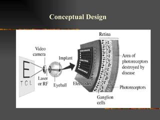 Conceptual   Design 