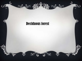 Deciduous forest
 