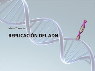Mario Tornería


REPLICACIÓN DEL ADN
 