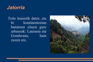 Jatorria

Tetis itsasotik dator, eta
 bi        kontinenteetan
 banatzen zituen gure
 arbasoak: Laurasia eta
 Gondwana,           hain
 zuzen ere.
 