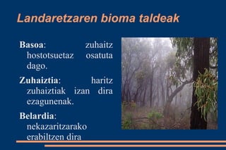 Landaretzaren bioma taldeak

Basoa:          zuhaitz
 hostotsuetaz   osatuta
 dago.
Zuhaiztia:      haritz
 zuhaiztiak izan dira
 ezagunenak.
Belardia:
 nekazaritzarako
 erabiltzen dira
 