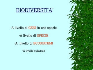 BIODIVERSITA ’ A livello di  GENI  in una specie A livello di  SPECIE A  livello di  ECOSISTEMI A livello culturale 