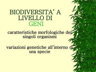 BIODIVERSITA’ A LIVELLO DI   GENI caratteristiche morfologiche dei singoli organismi variazioni genetiche all’interno di una specie 