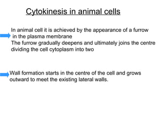 Cytokinesis in animal cells

In animal cell it is achieved by the appearance of a furrow
 in the plasma membrane
The furrow gradually deepens and ultimately joins the centre
dividing the cell cytoplasm into two



Wall formation starts in the centre of the cell and grows
outward to meet the existing lateral walls.
 