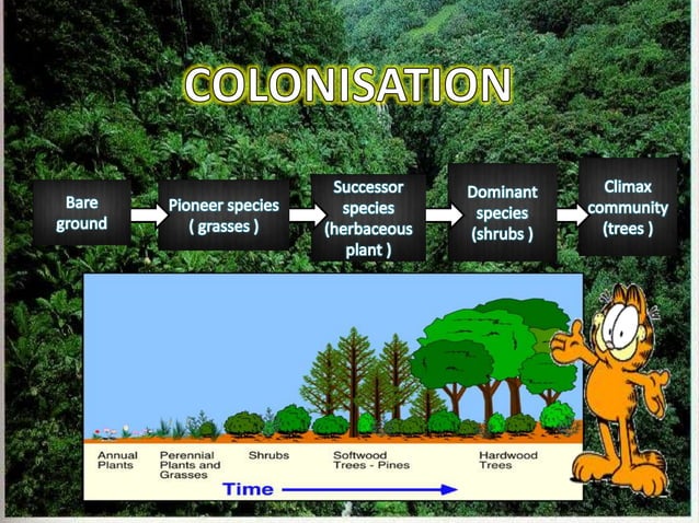 Colonization Vs Transient Biology - Colonisation and Succession | PPTX