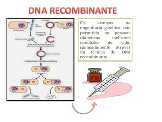 Os       avanços      na
engenharia genética tem
permitido as pessoas
diabéticas      melhores
condições    de     vida,
nomeadamente através
da técnica do DNA
recombinante
 