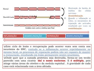 I.     Destruição da bainha de
                                                         mielina    das   células
                                                         nervosas-
                                                         desmielinização.
                                                  II.    Quando a inflamação se
                                                         reduz, os mecanismos de
                                                         reparação são activados,
                                                         resultando por vezes na
                                                         remielinização .


INFLAMAÇÃO       DESMIELINIZAÇÃO    REPARAÇÃO           REMIELINIZAÇÃO



↘Este ciclo de lesão e recuperação pode ocorrer vezes sem conta nos
neurónios do SNC, contudo se a inflamação ocorrer repetidamente no
mesmo local, os processos de reparação podem não ser capazes de manter
a restauração, resultando em lesão permanente nestes neurónios.
↘Onde quer que a camada protetora seja destruída, forma-se um tecido
parecido com uma cicatriz -daí o nome esclerose. E é múltipla, pois
atinge várias áreas do cérebro e da medula espinhal . A gravidade de cada
caso está relacionada com a área afetada.
 