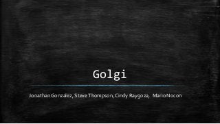 Golgi
Jonathan Gonzalez, SteveThompson, Cindy Raygoza, Mario Nocon
 