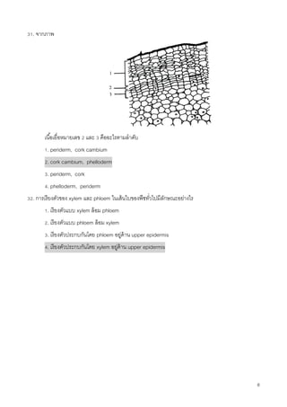 8
31. จากภาพ
เนื้อเยื่อหมายเลข 2 และ 3 คืออะไรตามลาดับ
1. periderm, cork cambium
2. cork cambium, phelloderm
3. periderm, cork
4. phelloderm, periderm
32. การเรียงตัวของ xylem และ phloem ในเส้นใบของพืชทั่วไปมีลักษณะอย่างไร
1. เรียงตัวแบบ xylem ล้อม phloem
2. เรียงตัวแบบ phloem ล้อม xylem
3. เรียงตัวประกบกันโดย phloem อยู่ด้าน upper epidermis
4. เรียงตัวประกบกันโดย xylem อยู่ด้าน upper epidermis
 